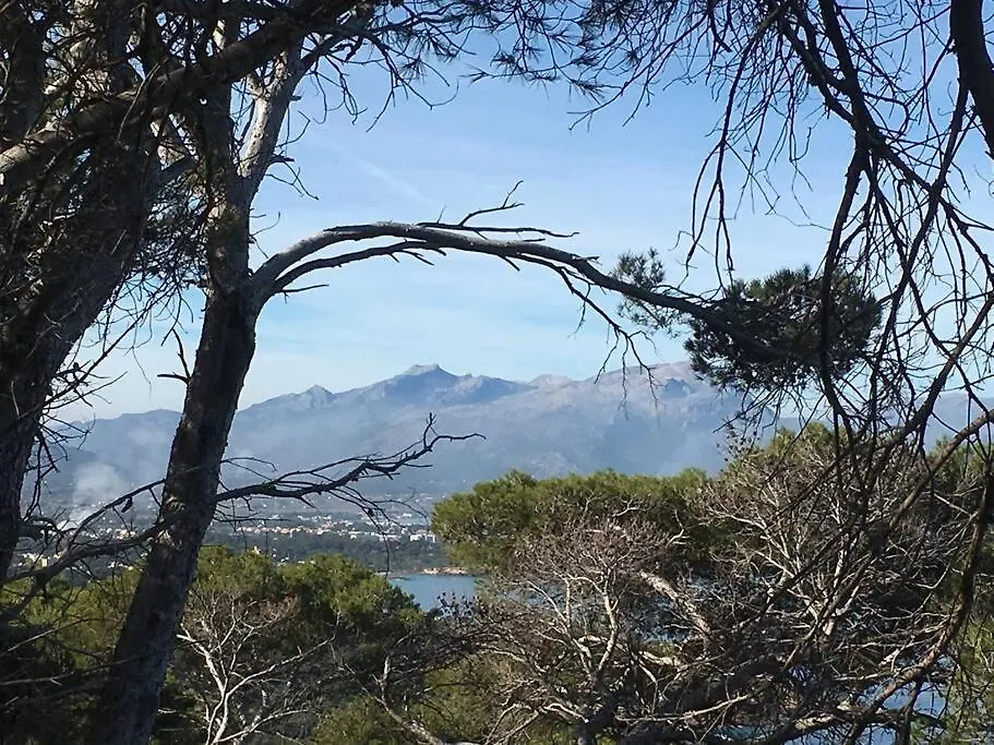 Beach Front Apartment In Cala Marsal With The Sea View ! Puerto Colom